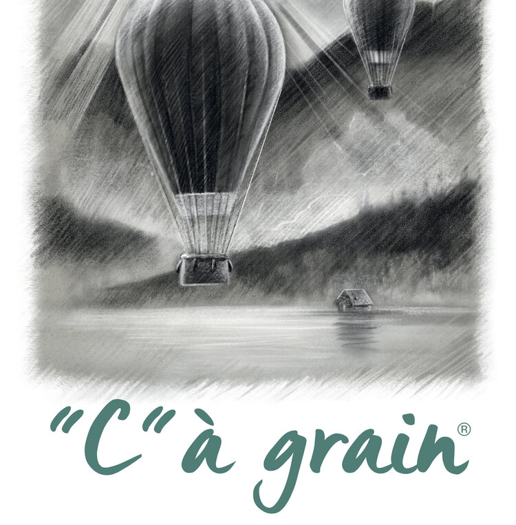 Canson "C" à Grain tekenpapier 250 grams 50x65 cm toned / voor verzending minimaal 10 vellen assorti