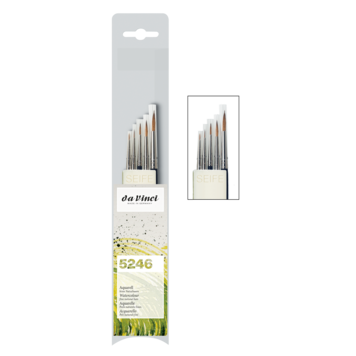 DaVinci aquarel penselen set (5246)