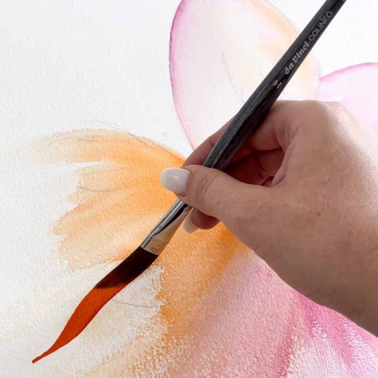 DaVinci Colineo aquarel zwaardpenseel (5527)