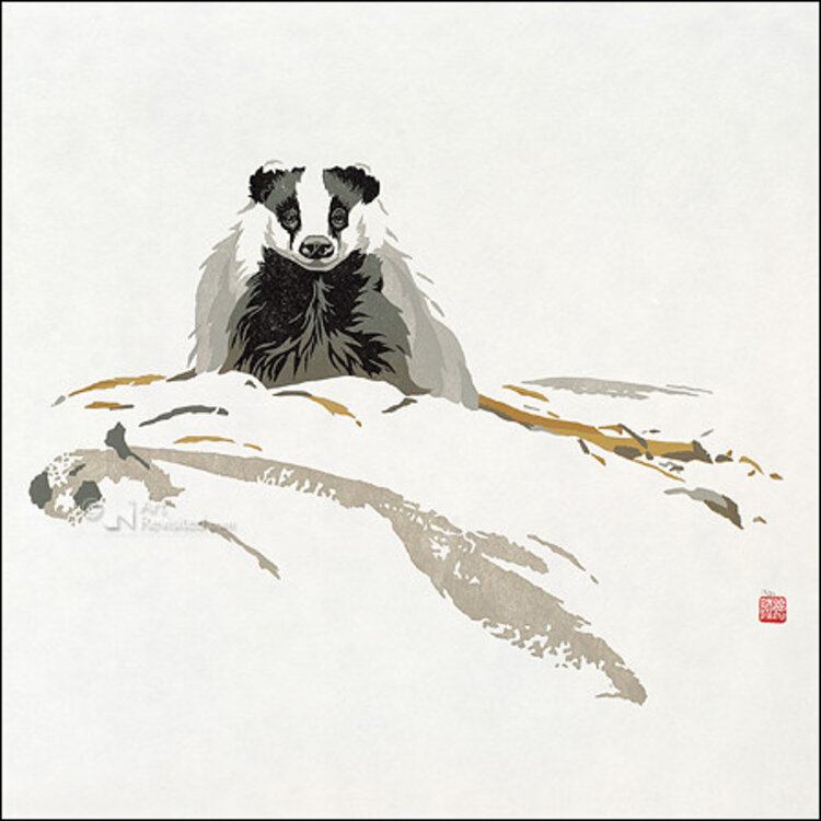 Art Revisited hidden nature - mapje met 8 kunstkaarten Erik van Ommen