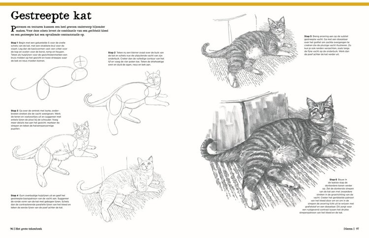 Librero Het grote tekenboek