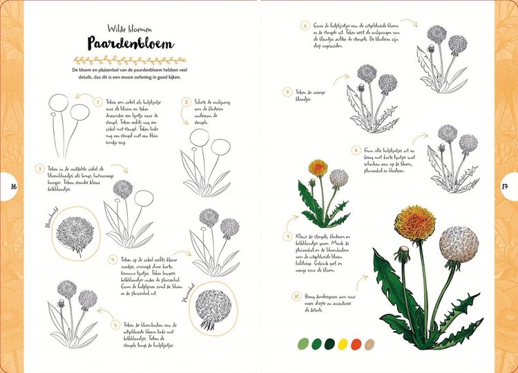 Librero boek Wilde bloemen en planten (tekenen in 10 stappen) - Justine Lecouffe