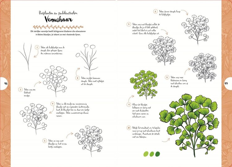 Librero boek Wilde bloemen en planten (tekenen in 10 stappen) - Justine Lecouffe