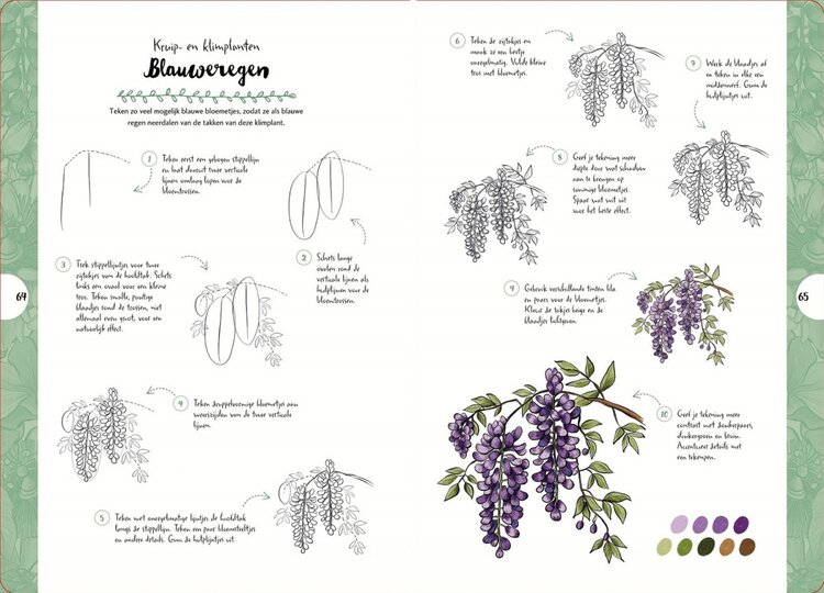 Librero boek Wilde bloemen en planten (tekenen in 10 stappen) - Justine Lecouffe