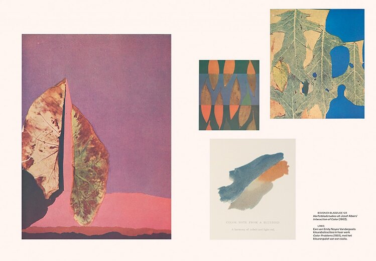 Librero boek - De geschiedenis van kleur