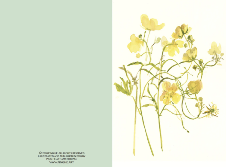 Ping He Art ranunculus acris - wenskaart met envelop