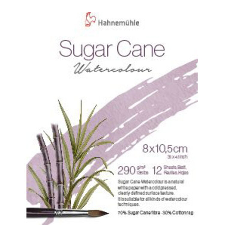 Hahnemühle Sugar Cane watercolour 8x10,5 cm