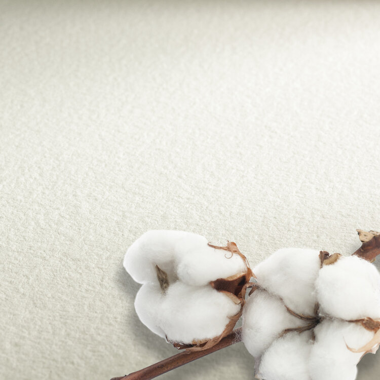 Hahnemühle Watercolour the Collection aquarelpapier 8x10,5 cm