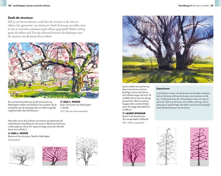 Librero boek, Landschappen, bomen en planten schetsen - Virginia Hein