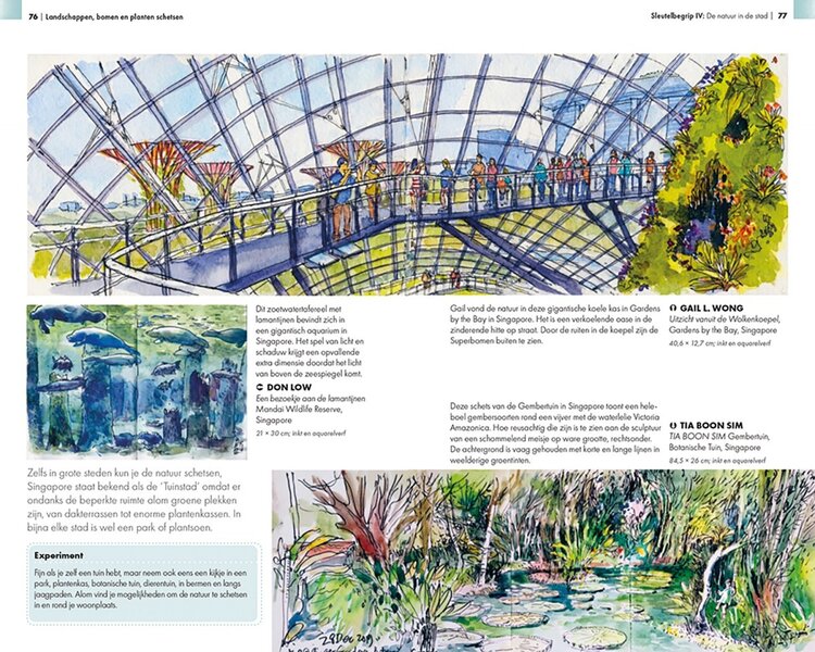 Librero boek, Landschappen, bomen en planten schetsen - Virginia Hein