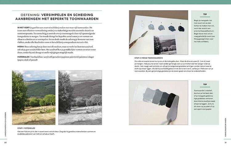 Librero boek, Landschappen schilderen - Michell Albala