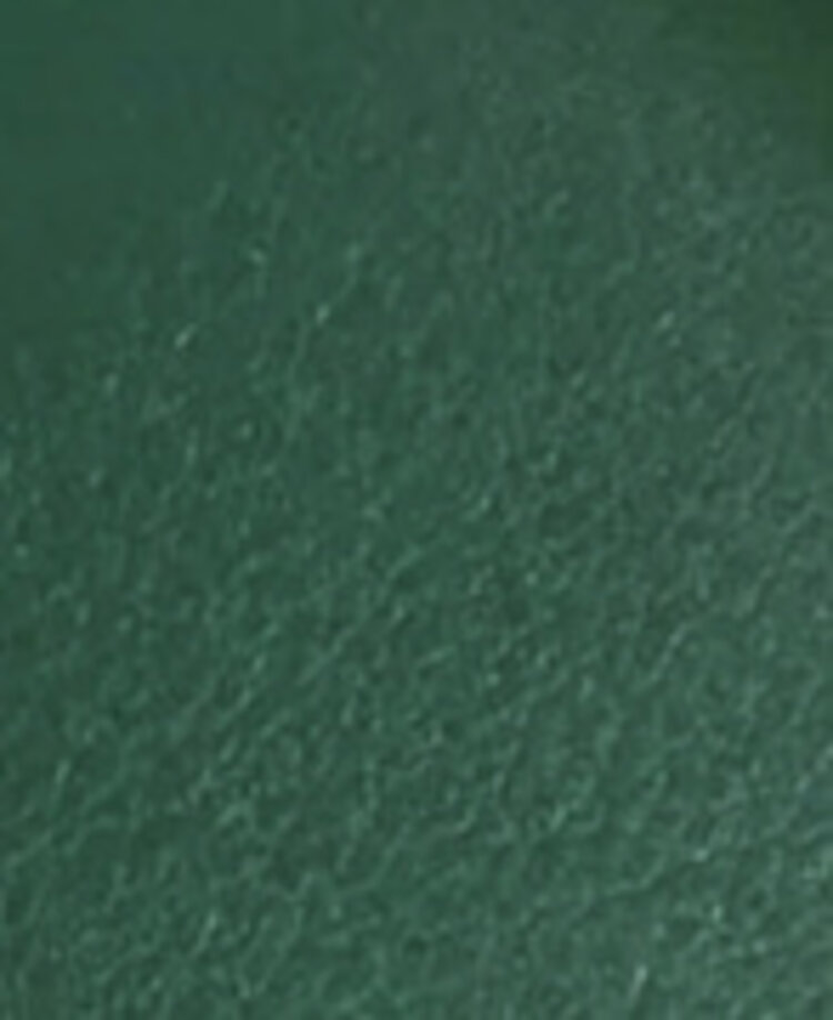 Récife Paris lederen etui  Riviera FOREST GREEN - collector-3