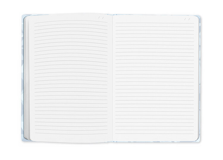 Caran d'Ache (schrijfwaren) notitieboek A5 XMAS 25