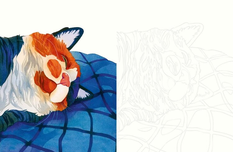 Librero Katten aquarelleren - Emelie Lienard