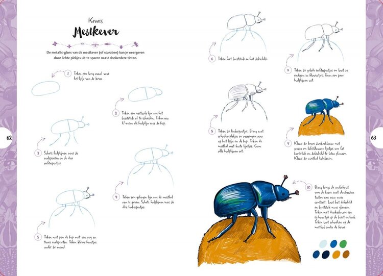 Librero vlinders, kevers, bijen en andere insecten - Justine Lecouffe
