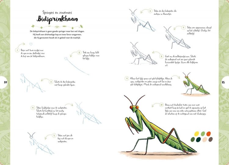 Librero vlinders, kevers, bijen en andere insecten - Justine Lecouffe