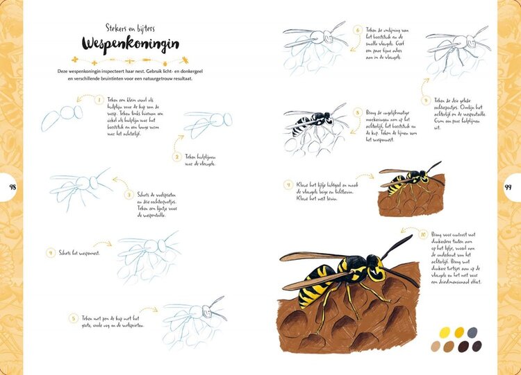 Librero vlinders, kevers, bijen en andere insecten - Justine Lecouffe