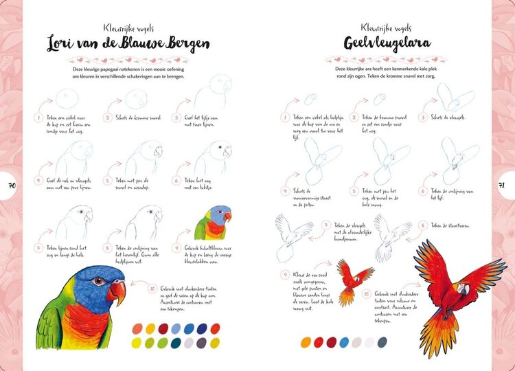 Librero vogels tekenen in 10 stappen  - Justine Lecouffe