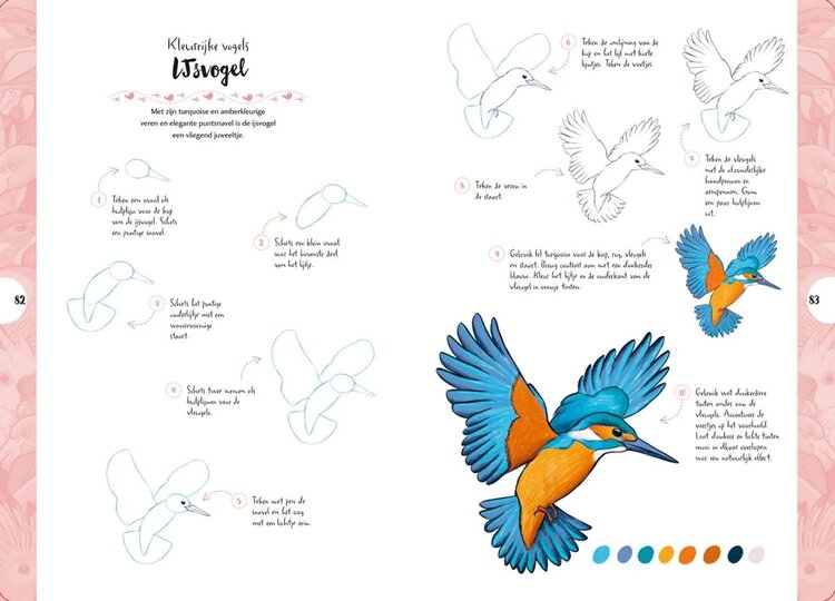 Librero vogels tekenen in 10 stappen  - Justine Lecouffe
