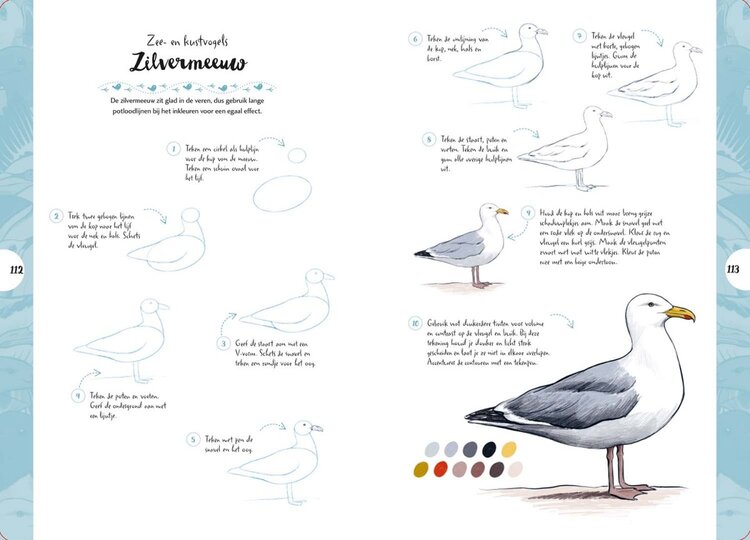 Librero vogels tekenen in 10 stappen  - Justine Lecouffe