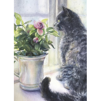 ART group wenskaarten - poes in stilleven (10)