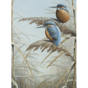 ART group wenskaarten - ijsvogels / mezen (10)