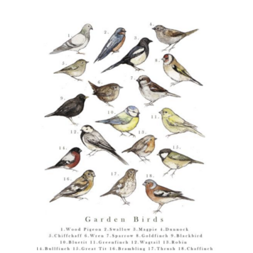 ART group wenskaarten - vogels / vinders (10)