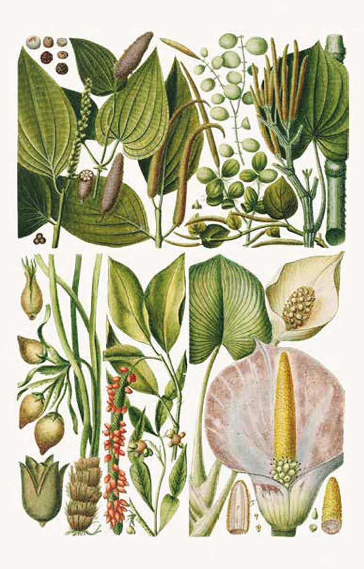 100 bloemen RHS wenskaarten