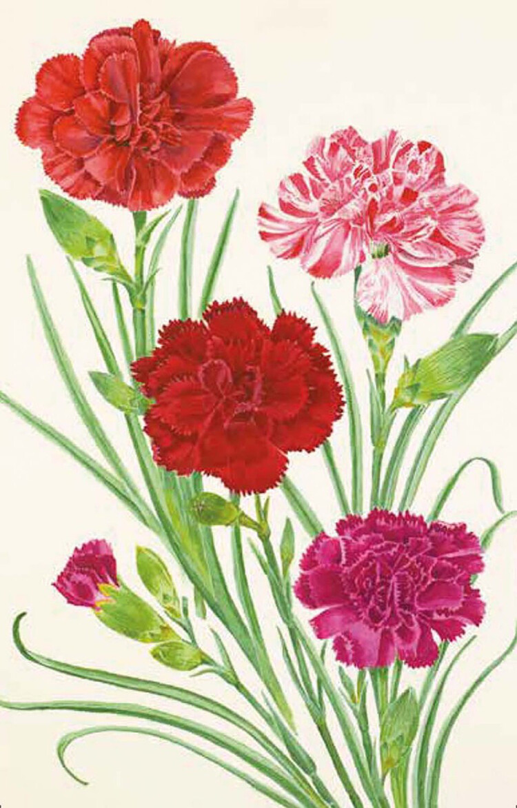 100 bloemen RHS wenskaarten