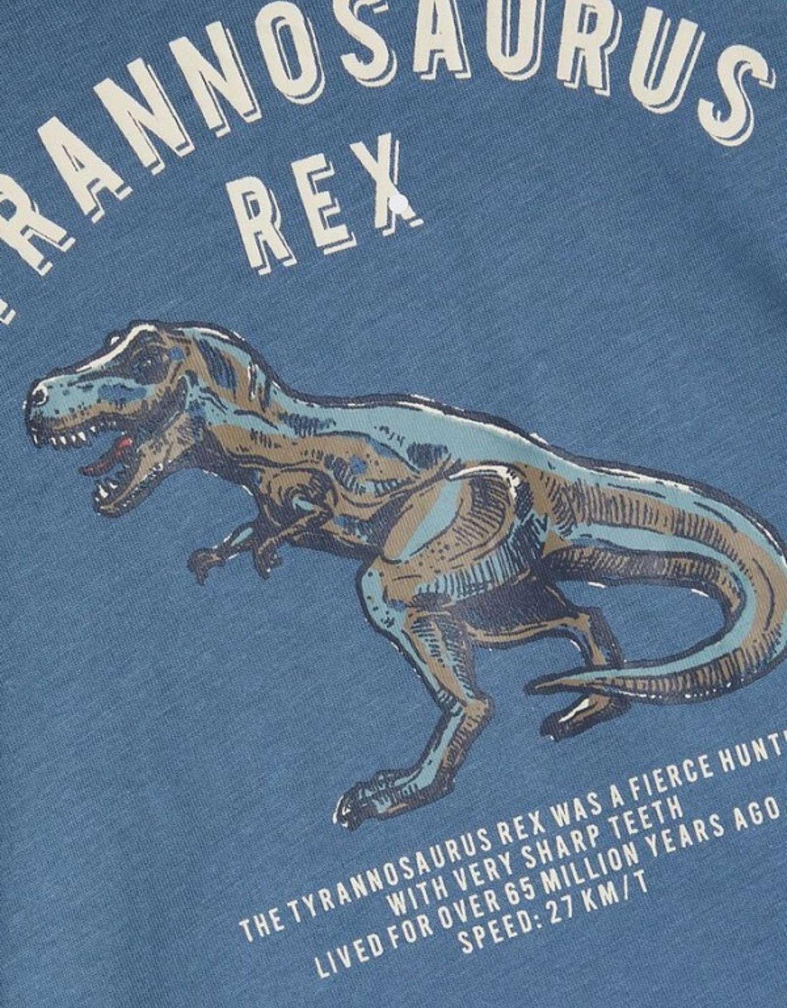 Name It T-shirt Dino REX