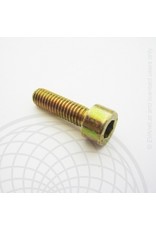 Rotax Max Rotax max crank case cover bolt M6 x 16