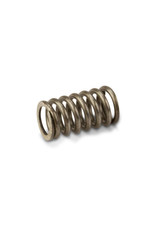 Honda Imitatie Wet clutch spring