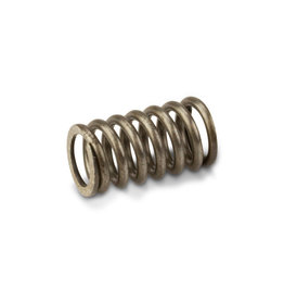 Honda Imitatie Wet clutch spring