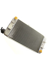 Iame Iame Radiator 410x186MM