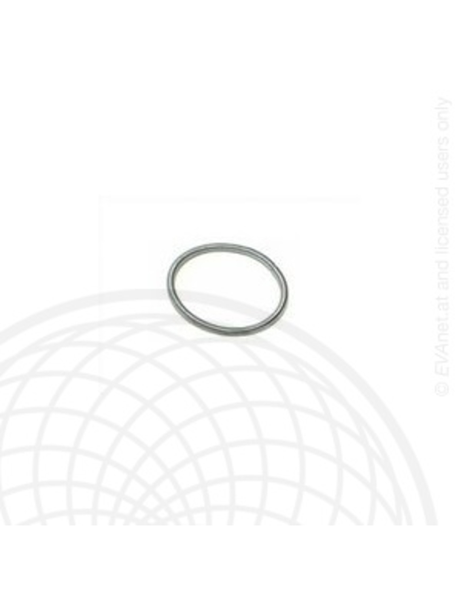 Rotax Max Rotax max power valve spring small
