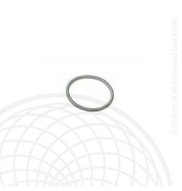 Rotax Max Rotax max power valve spring small