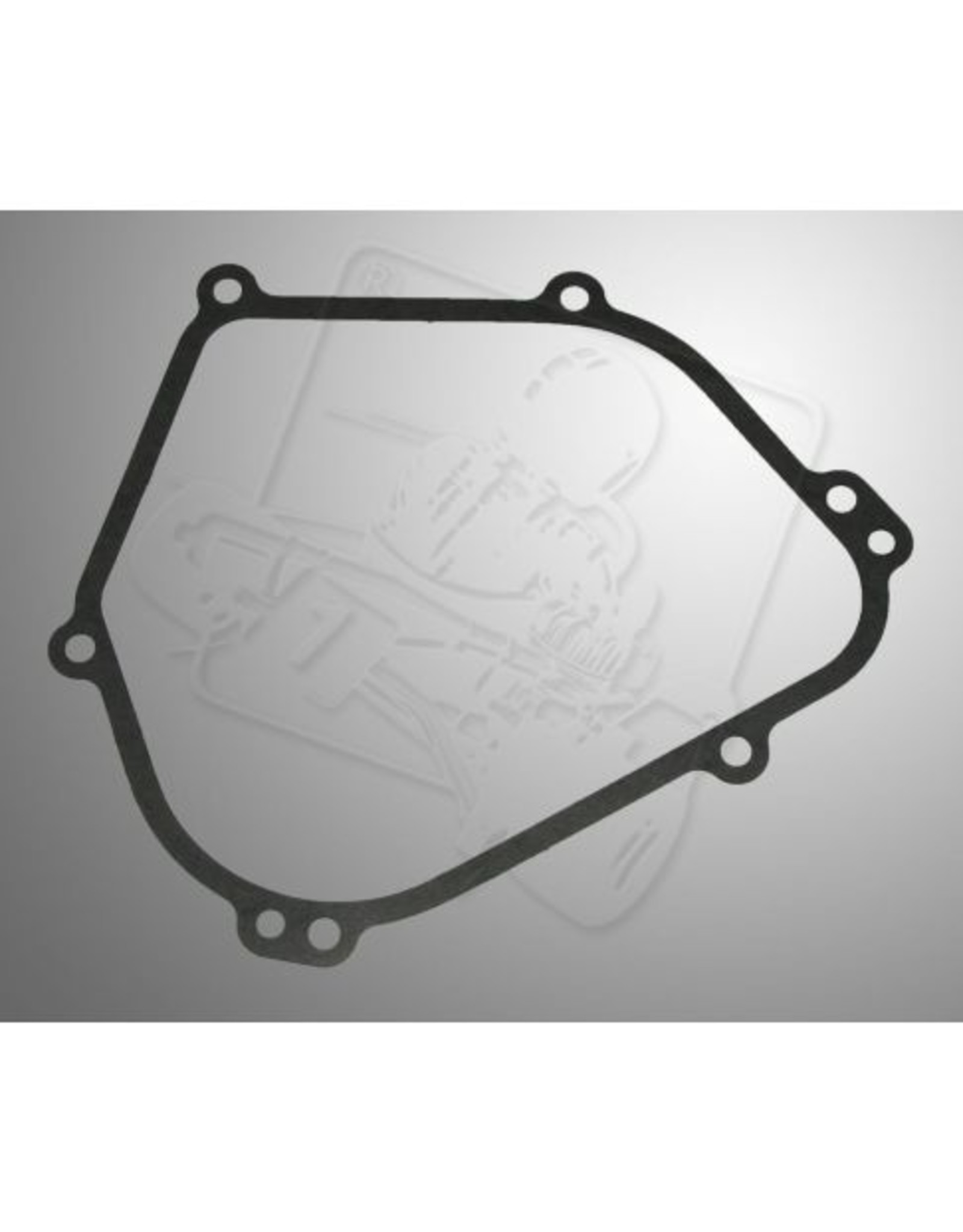 Briggs and Stratton Briggs and stratton WF crankcase cover gasket