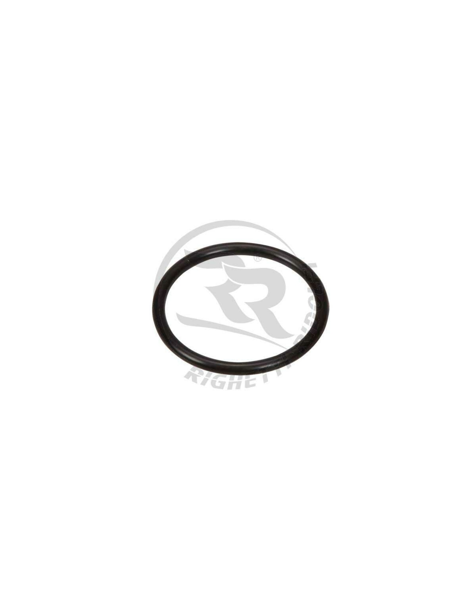 Righetti Ridolfi RR noise filter ring