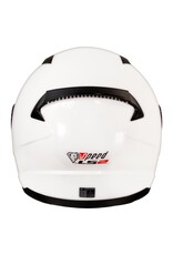 LS2 LS2 FF353 Rapid wit