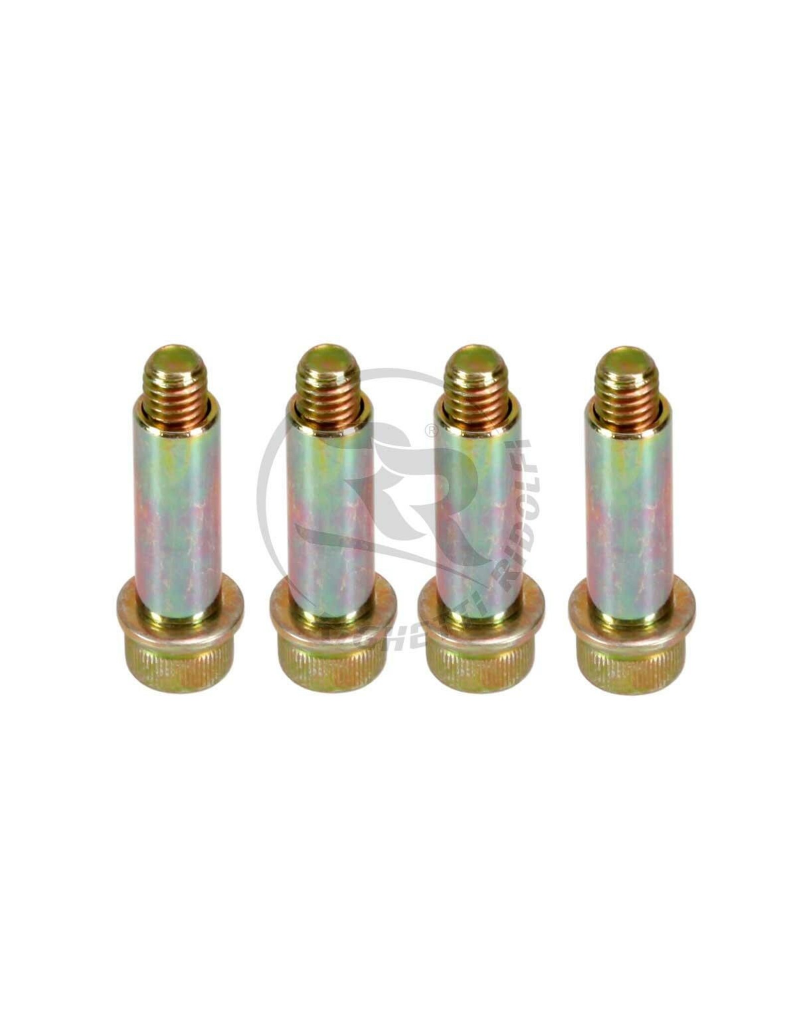 Righetti Ridolfi RR screws kit for brake pads