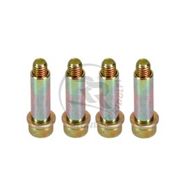 Righetti Ridolfi RR screws kit for brake pads