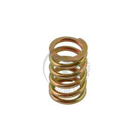 Righetti Ridolfi RR spring for return of brake pads