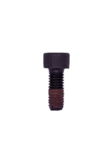 Iame Iame X30 bolt for clutch M6x16 (one piece)