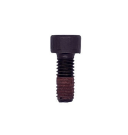 Iame Iame X30 bolt for clutch M6x16 (one piece)