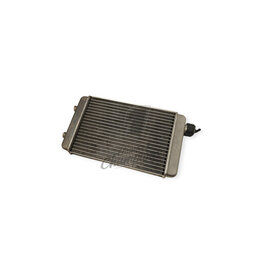 Rotax Max Rotax max DD2 radiator - Old type