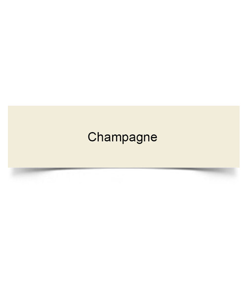 A. S. Handover Handover Signwriting & Pinstriping Enamel (Gloss) 250 ml - Champagne