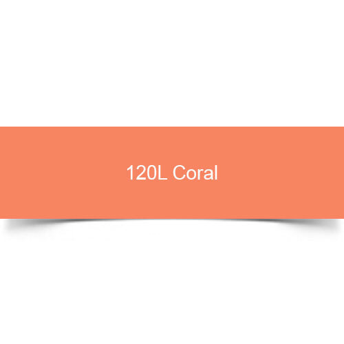 1 Shot 1 Shot Lettering Enamels 118 ml - 120L Coral