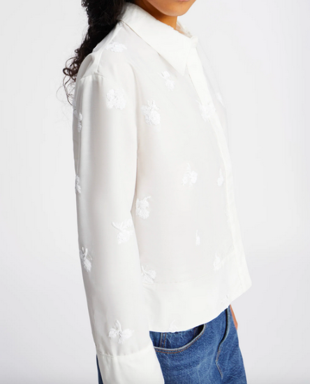 Kaseia Top-3