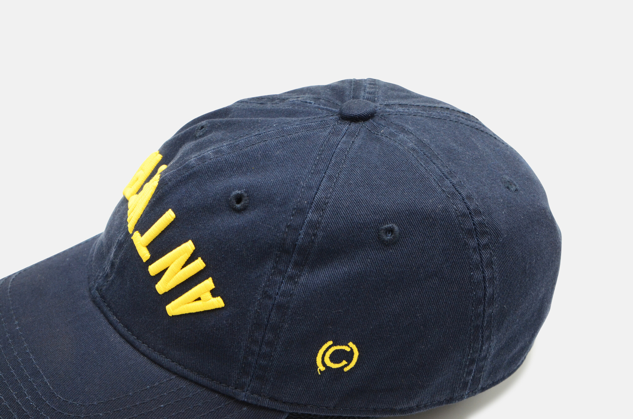 The Upside Down Dad Hat in Navy-2