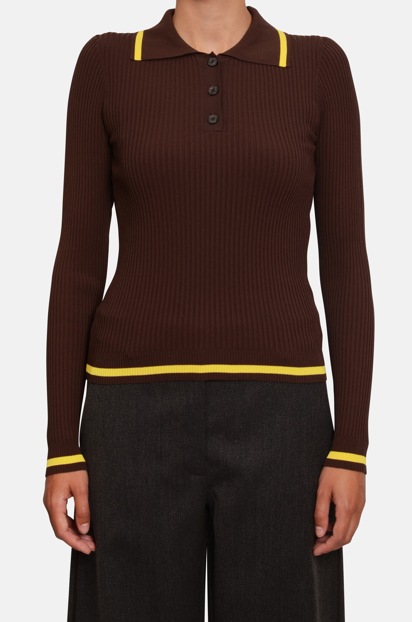 Ribbed Polo Knit in Chocolate Brown-1